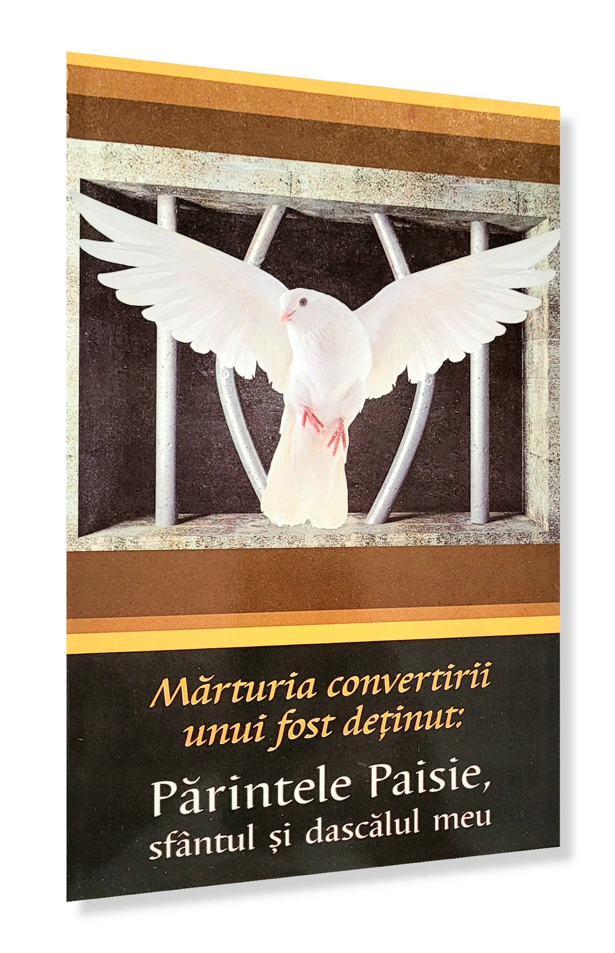 Mărturia convertirii unui fost deținut: Părintele Paisie, sfântul si dascălul meu