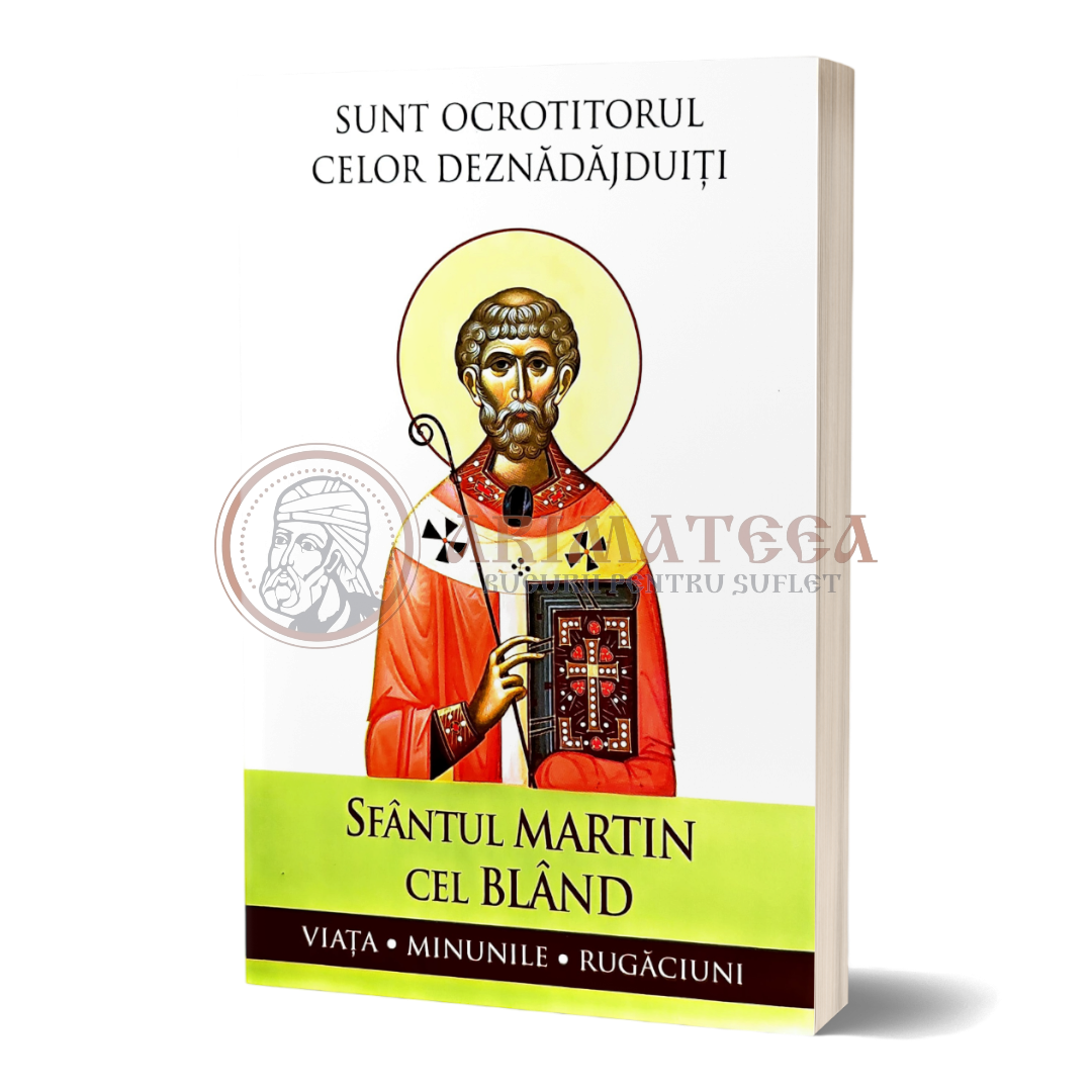 Sfântul Martin cel Blând – Sunt ocrotitorul celor deznădăjduiți. Viața, minunile, rugăciuni