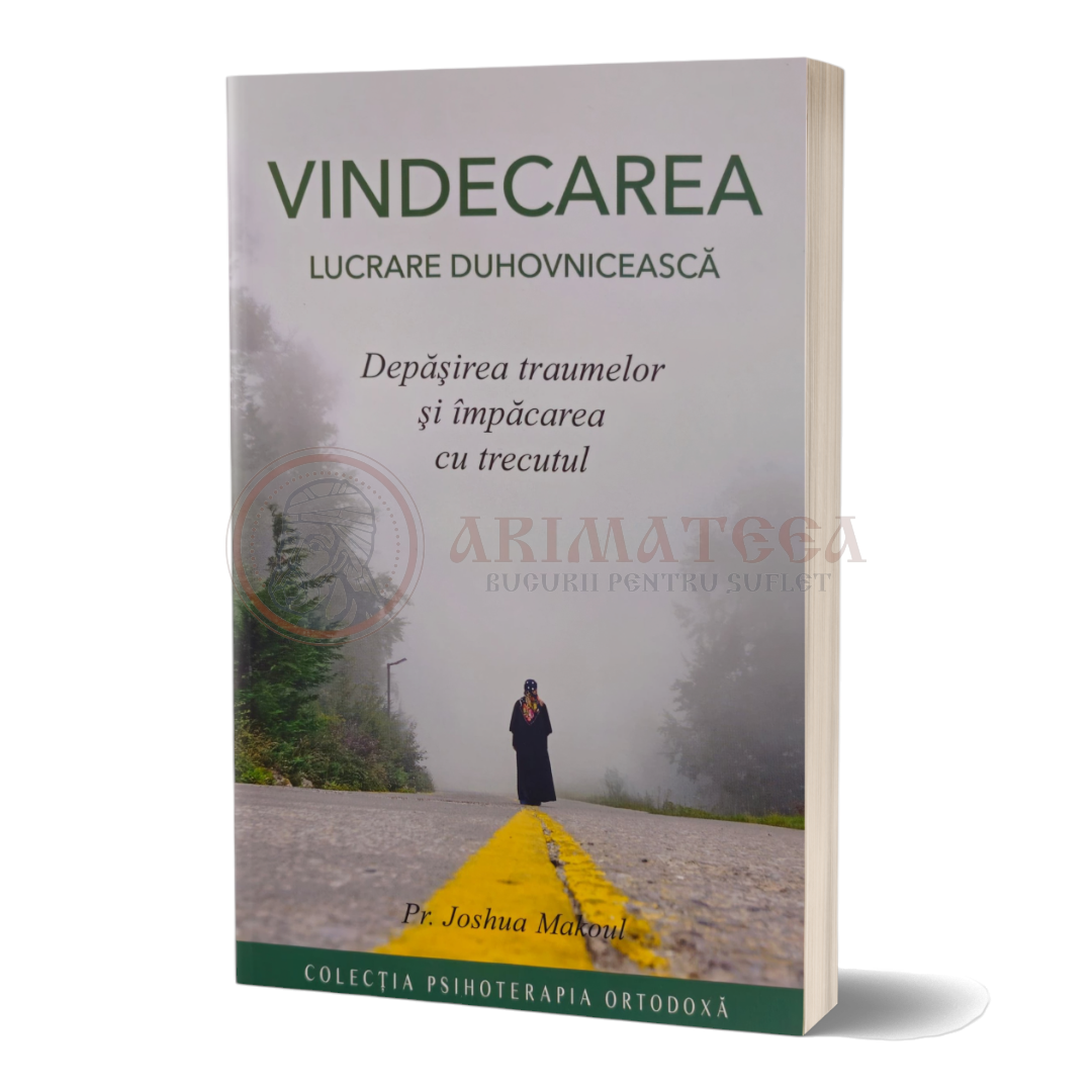 Vindecarea – lucrare duhovnicească. Depăşirea traumelor şi împăcarea cu trecutul - Pr. Joshua Makoul