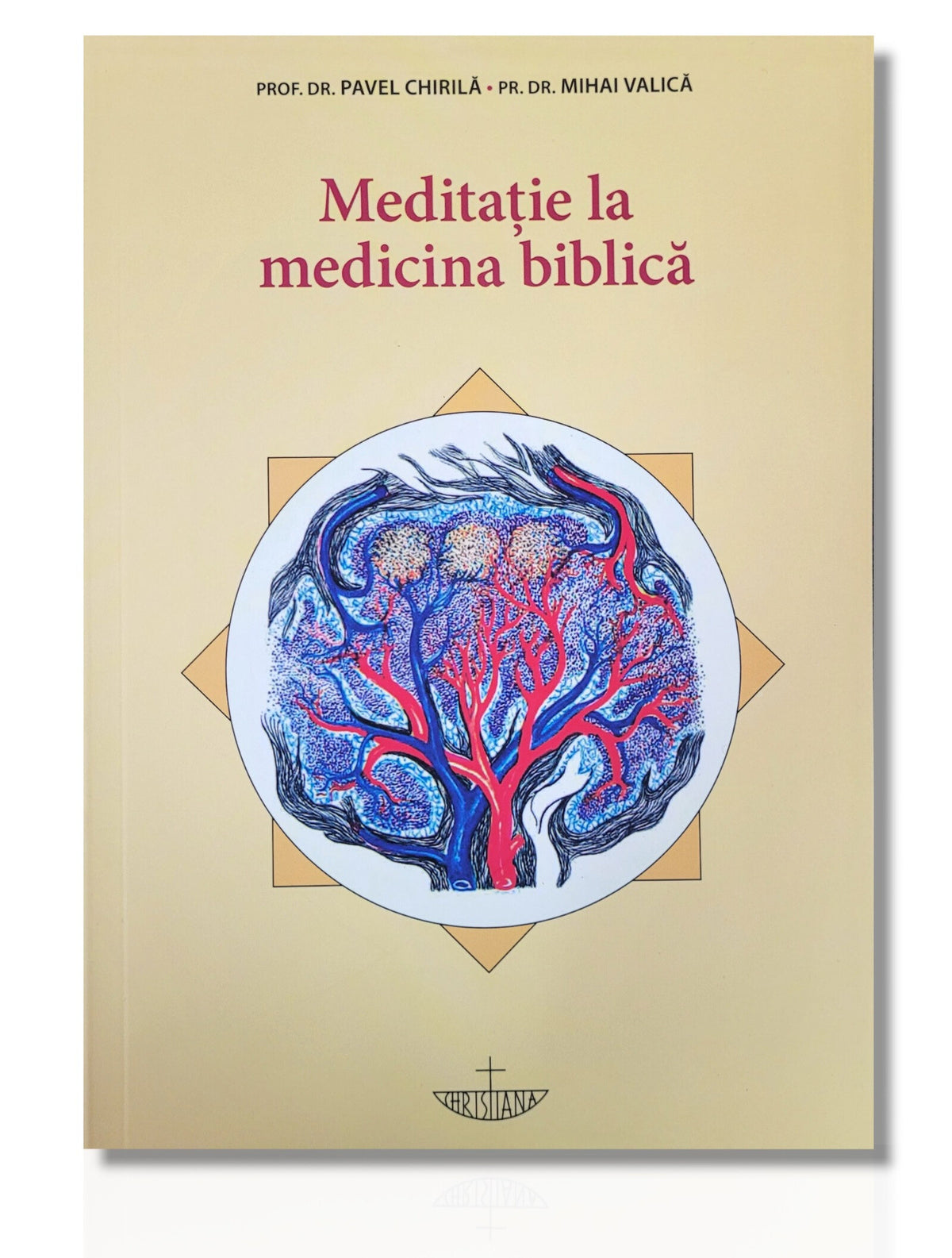 Meditație la medicina biblică - dr. Pavel Chirilă, dr. Mihai Valică