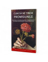 Cum să ne ținem promisiunile - Olga Krasnikova