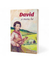 David și vioara lui - Eleanor H. Porter