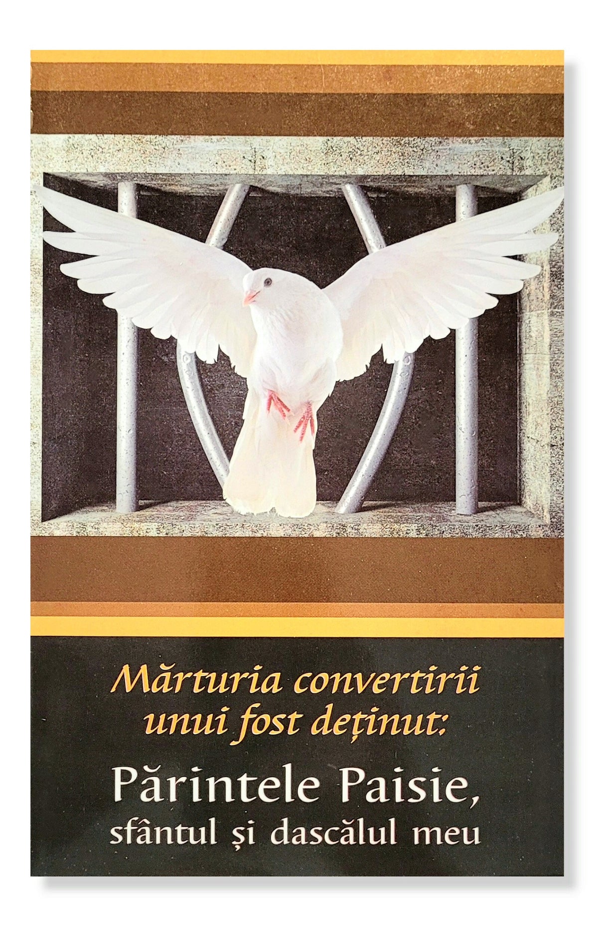 Mărturia convertirii unui fost deținut: Părintele Paisie, sfântul si dascălul meu