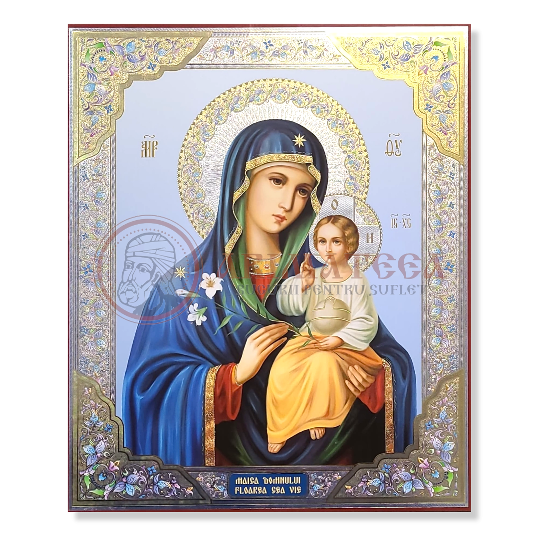Icoană pal 30x40 - Litografie - Maica Domnului