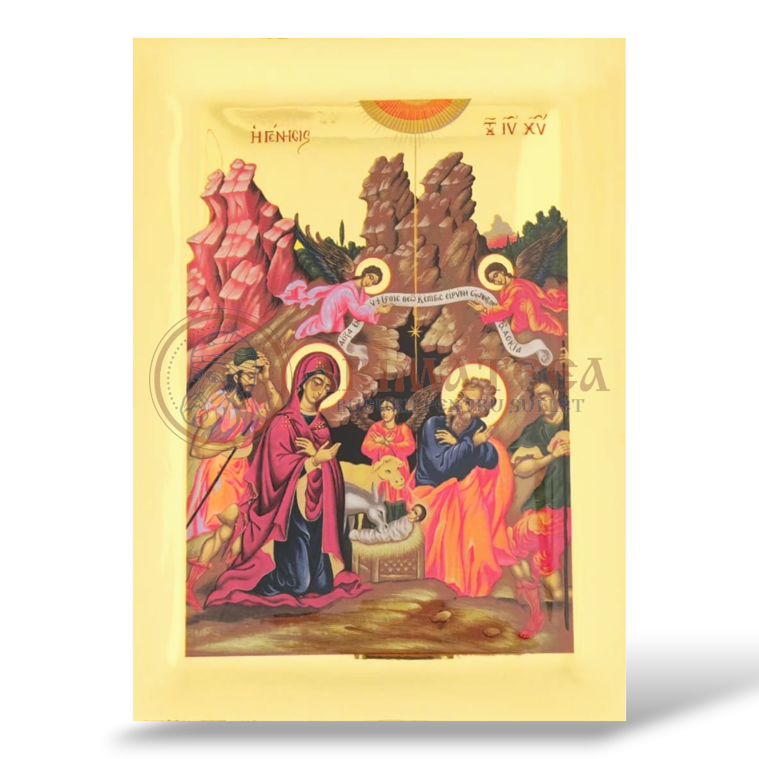Icoană Aurită 20x26 - Nașterea Domnului MG2