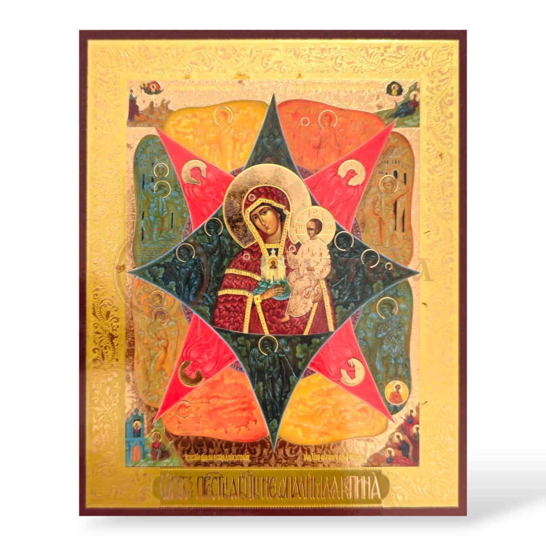 Icoană MDF 18x24 cm - Maica Domnului XIV