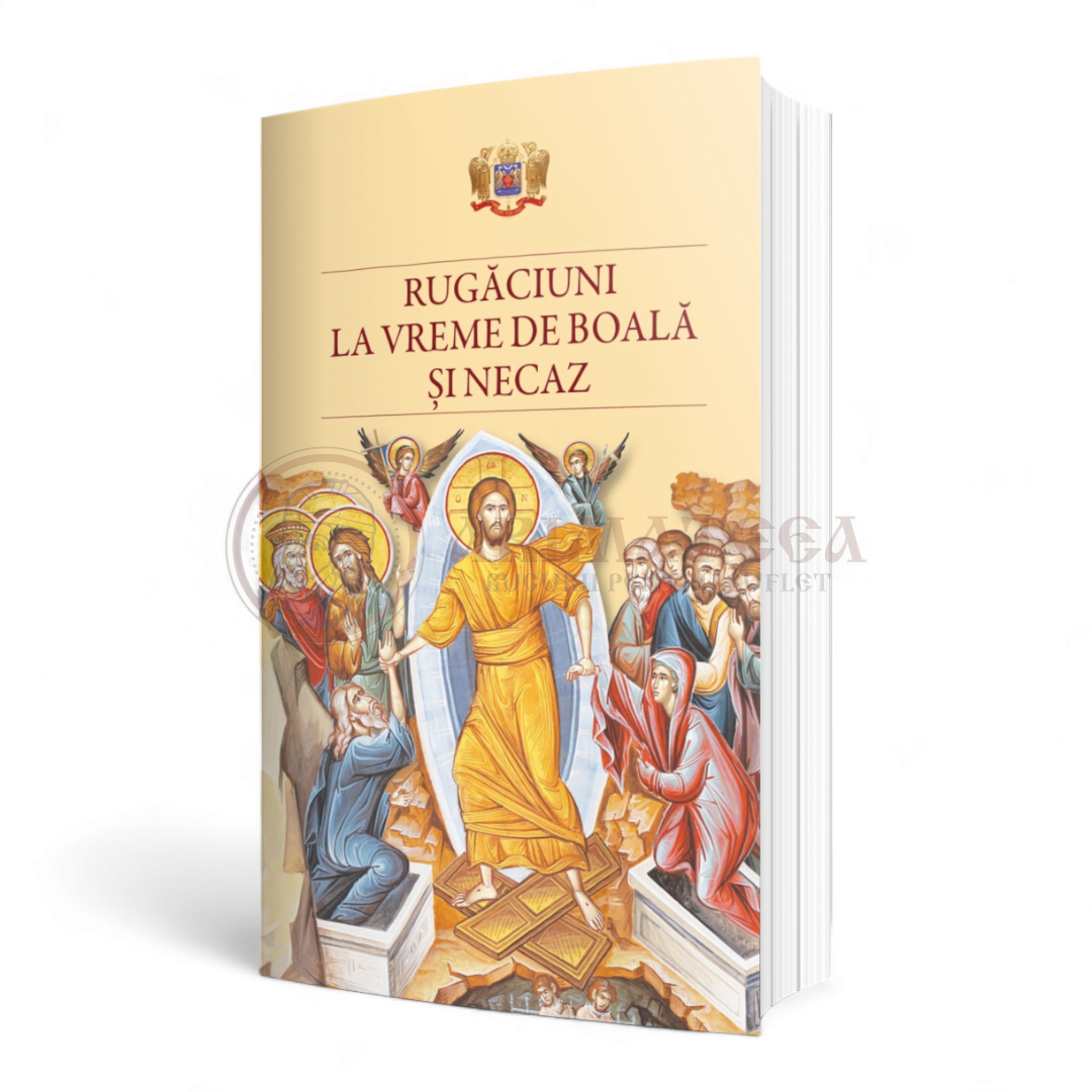 Rugăciuni la vreme de boală și necaz