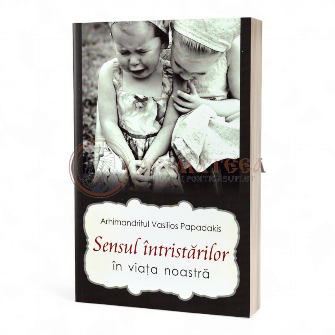 Sensul întristărilor în viața noastră - Arhimandrit Vasilios Papadaki