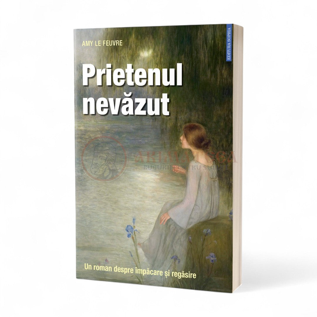 Prietenul nevăzut. Un roman despre împăcare și regăsire - Amy Le Feuvre