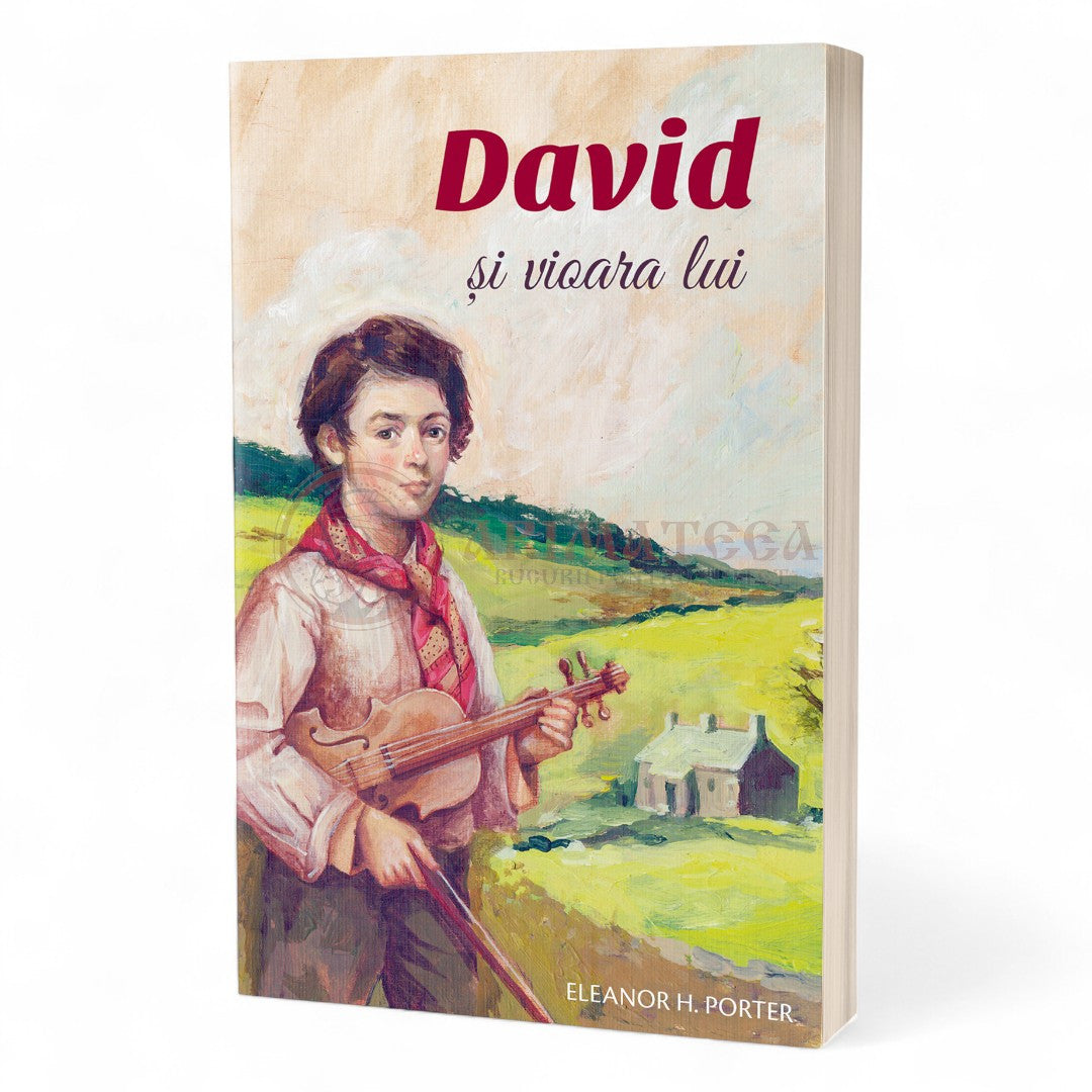David și vioara lui - Eleanor H. Porter