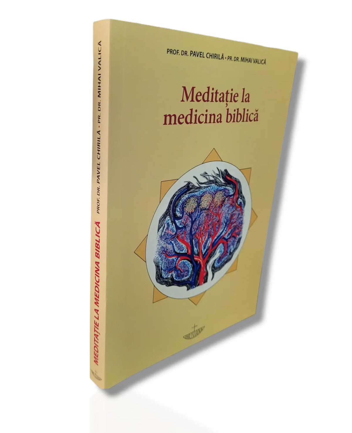 Meditație la medicina biblică - dr. Pavel Chirilă, dr. Mihai Valică